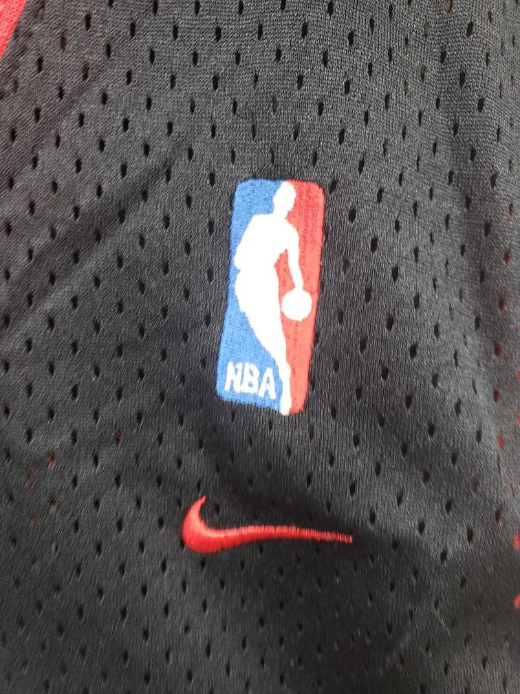 Allen Iverson - Philadelphia Sixers Jersey - NBA Vintage - Collectible Jersey - Sports Memorabilia - Nike Basketball Jersey - Adult Size XL